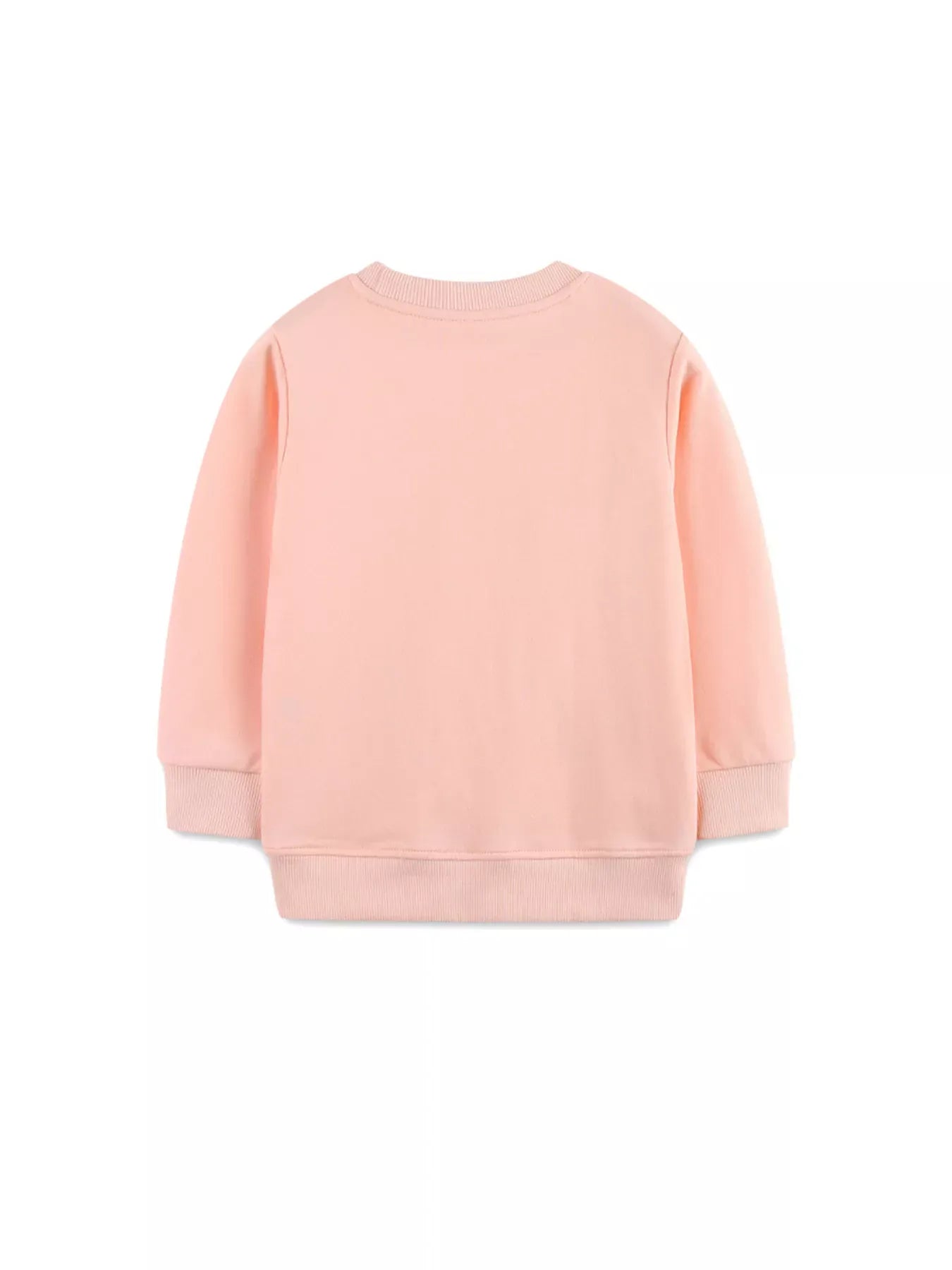 Trendsi Children's Cute Bunny Embroidered Round Neck Sweatshirt