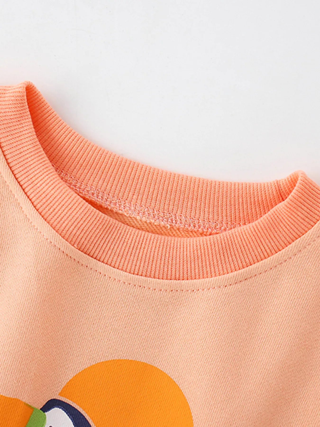 Trendy Kids Apparel US Kids Clothing Children's Bird Graphic Crew Neck Sweatshirt