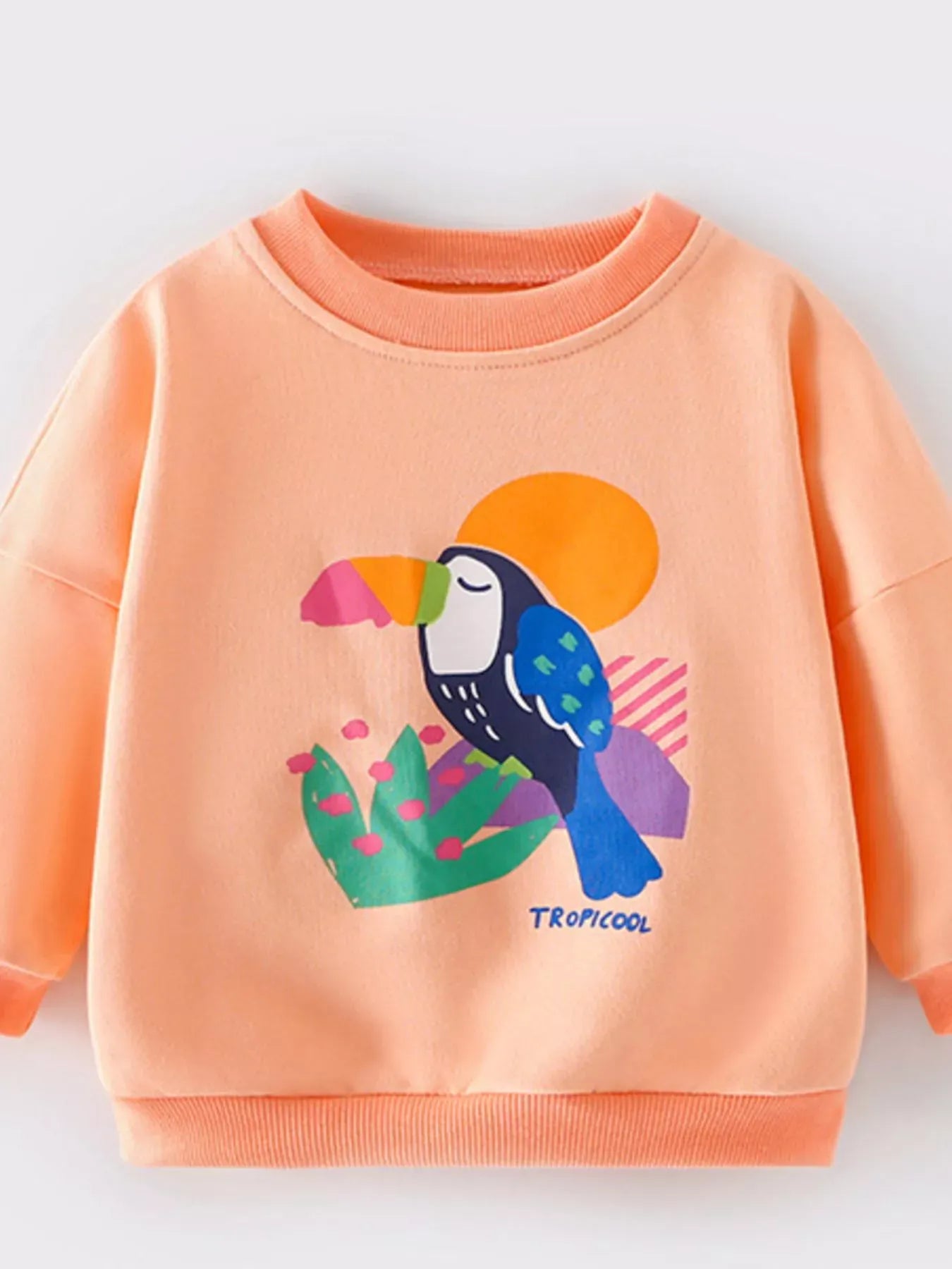 Trendy Kids Apparel US Kids Clothing Children's Bird Graphic Crew Neck Sweatshirt